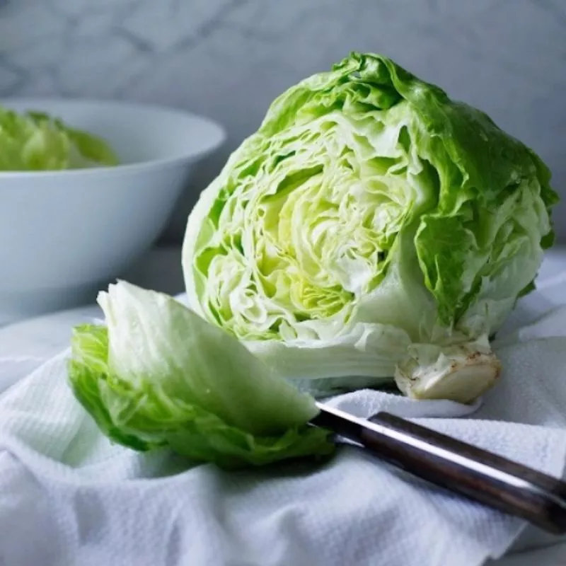 Công dụng của Xà lách lô lô xanh